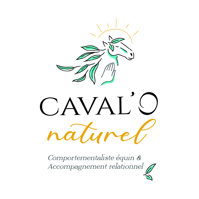 CDV – Caval’o naturel Recto